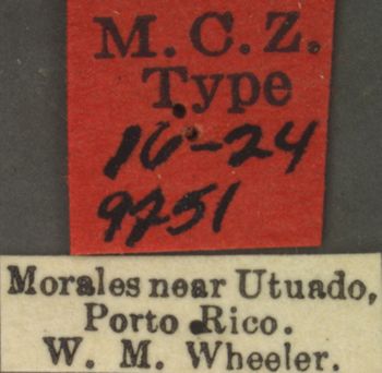 Media type: image; Entomology 9251   Aspect: labels